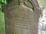 image of grave number 784848